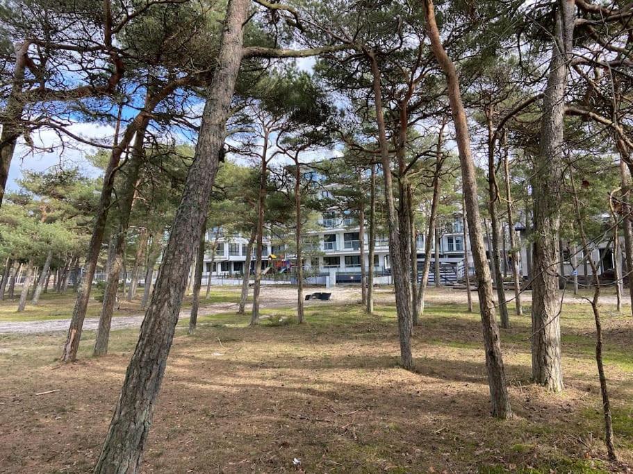 Apartment Ardea Rowy *
